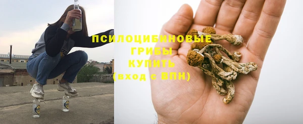 ГАЛЛЮЦИНОГЕННЫЕ ГРИБЫ Верхнеуральск