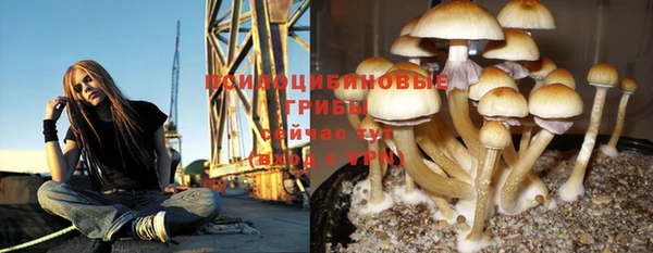 MESCALINE Лабытнанги