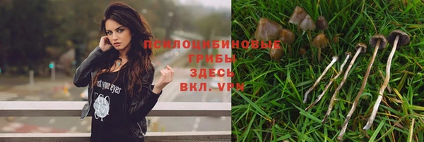ГАЛЛЮЦИНОГЕННЫЕ ГРИБЫ Верхнеуральск